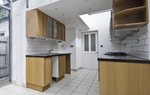 Ilsington kitchen extension leads